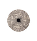 RUG Rays