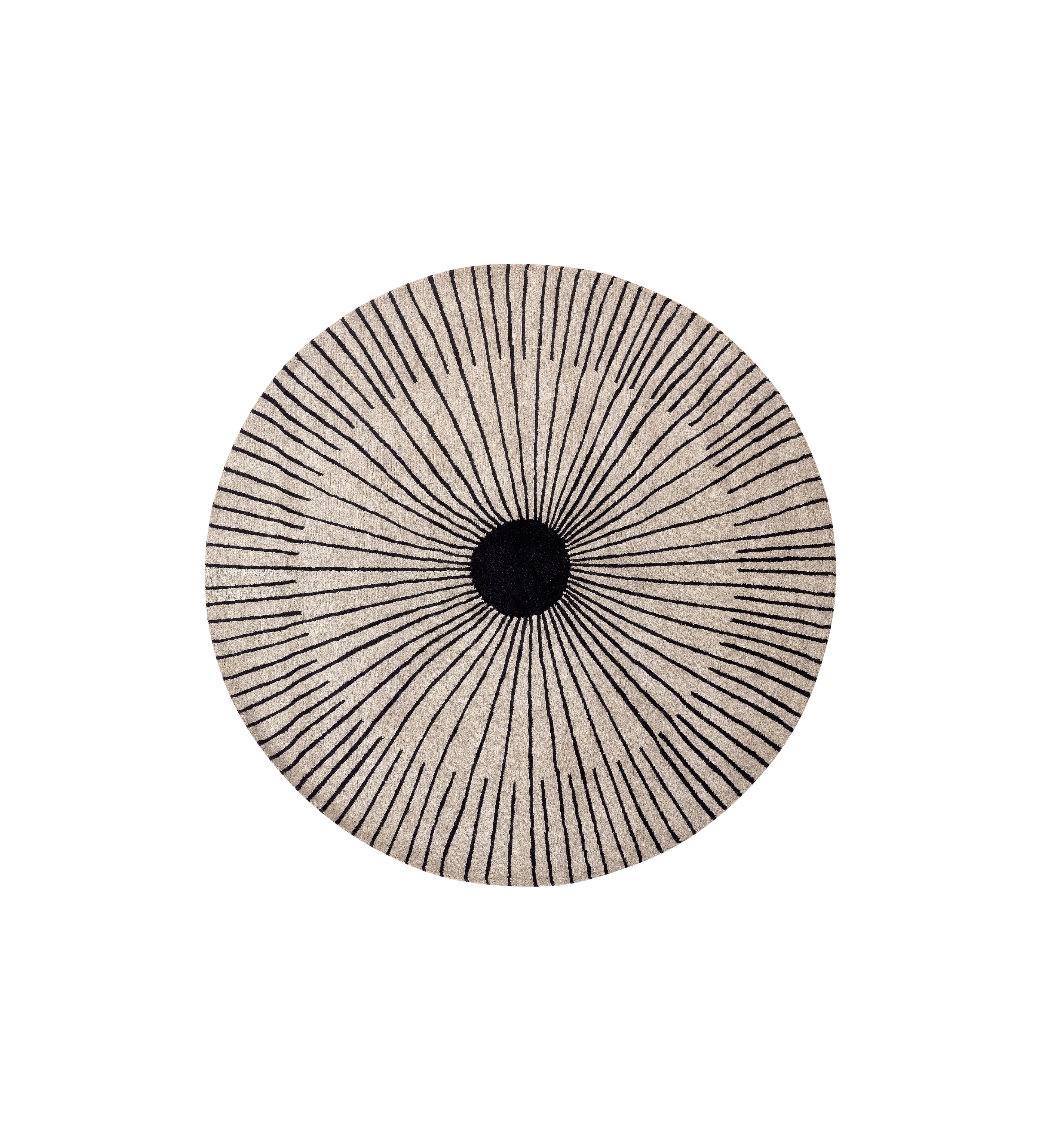 RUG Rays